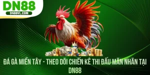 - Đá Gà Miền Tây - Theo Dõi Chiến Kê Thi Đấu Mãn Nhãn Tại DN88